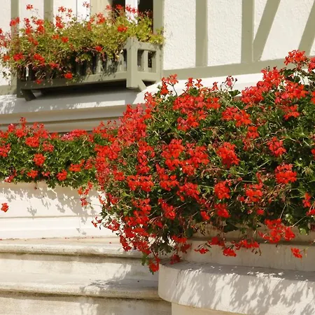 Bed & Breakfast Manoir De Benerville