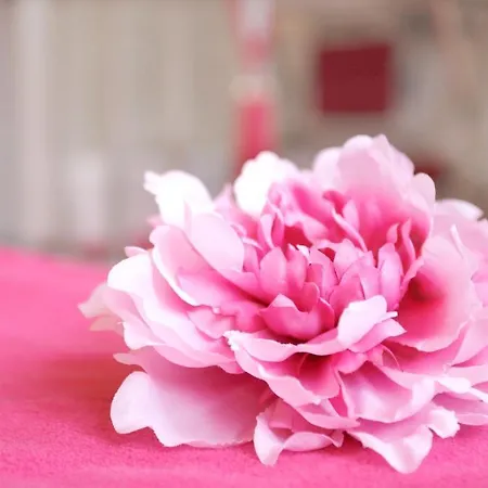 Manoir De Benerville Panzió