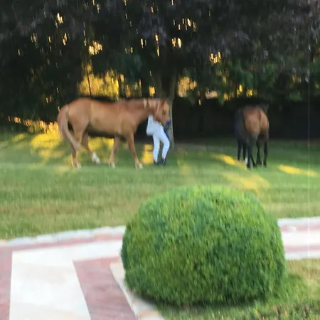 Manoir De Benerville