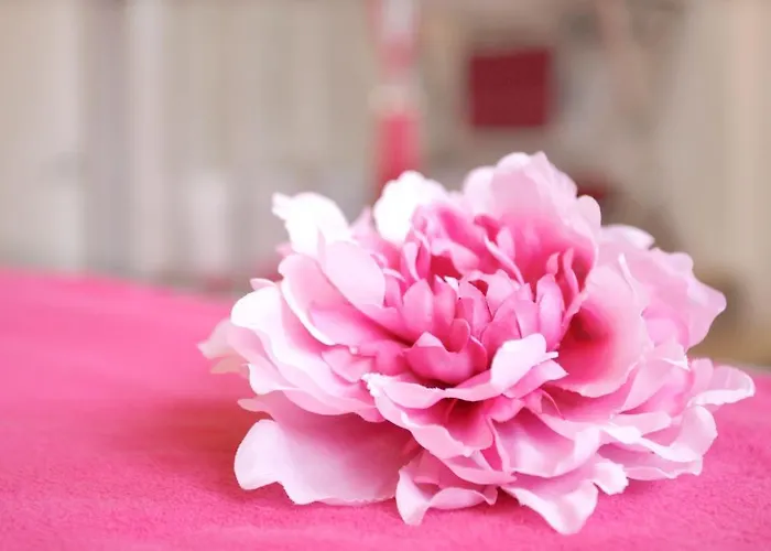 Manoir De Benerville Bed & Breakfast