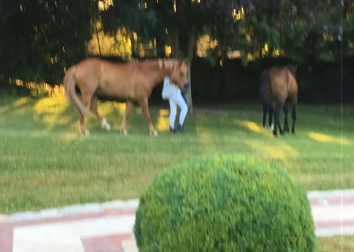 Manoir De Benerville